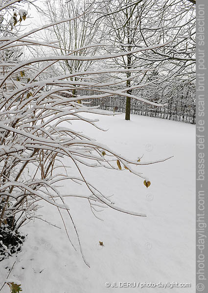 jardin sous la neige